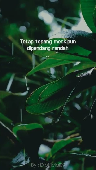 story wa lir ilir😌|| #storywaviral #storywa30detikterbaru2021