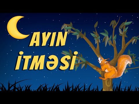 Ayın itməsi (3-cü sinif Azərbaycan dili)