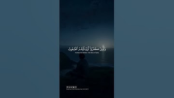#الآيات ﴿اللَّهُ وَلِيُّ الَّذِينَ آمَنُوا يُخْرِجُهُم مِّنَ الظُّلُمَاتِ إِلَى النُّورِ ۖ…﴾