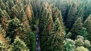 Fauna Din Zonele Înalte