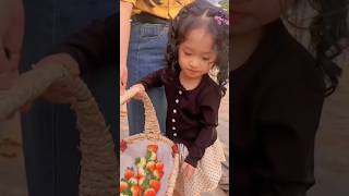 Thử Thách Hái Dâu Tây Ở Đà Lạt ❤️ Anh Anh TV ❤️