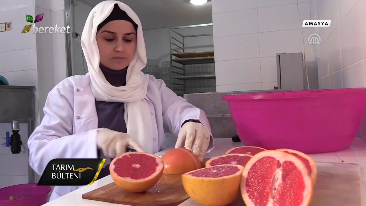 Tarım Bülteni / Devlet Desteği Sayesinde Meyve Cipsi Üretim Tesisi Kurdu