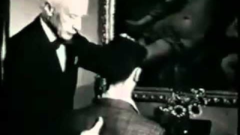 Steve Tallis - ALEXANDER MONKEY