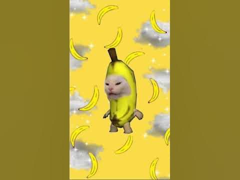 мемные обои тема : коты - YouTube