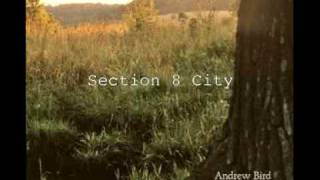 Section 8 City - Andrew Bird chords