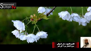 فديو HD سورة الحشر القارئ الشيخ د ماهر المعيقلي I قناة سلطان العواد