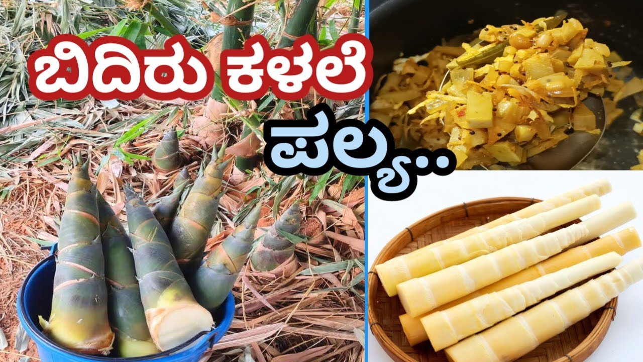ಕಳಲೆ ಪಲ್ಯ & ಎಳೆ ಬಿದಿರಿನ ಪಲ್ಯ | ಹಳ್ಳಿ ಸ್ಟೈಲ್ ಸಾಂಪ್ರದಾಯಿಕ ರೆಸಿಪಿ