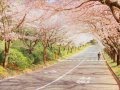 Ritsuko Okazaki (岡崎律子) - I'm Always Close to You Lyrics