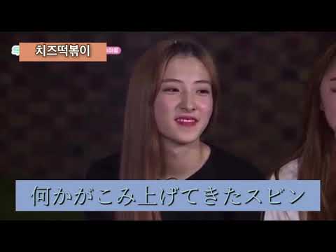 ［宇宙少女］メンバーたちへの本音 日本語字幕
