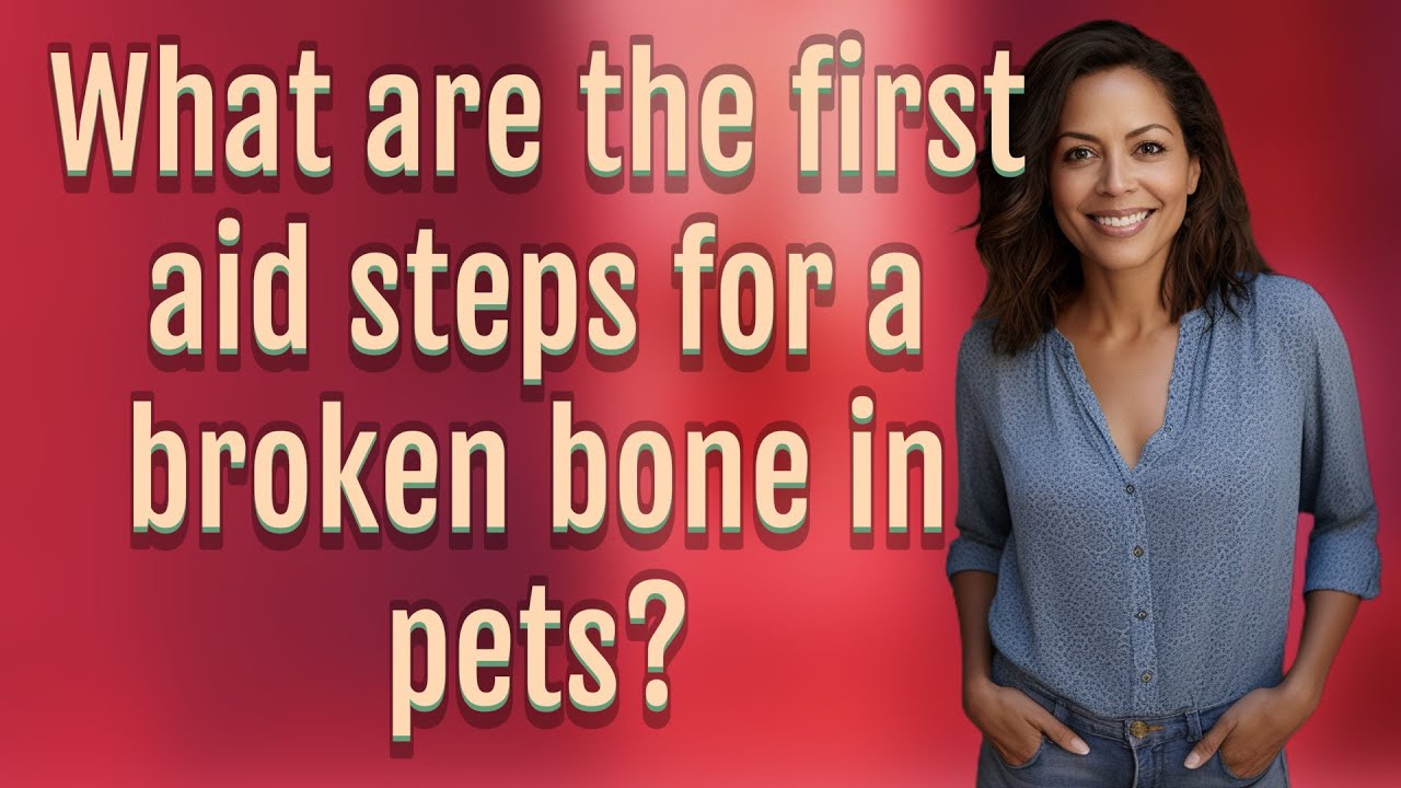 what-are-the-first-aid-steps-for-a-broken-bone-in-pets-youtube