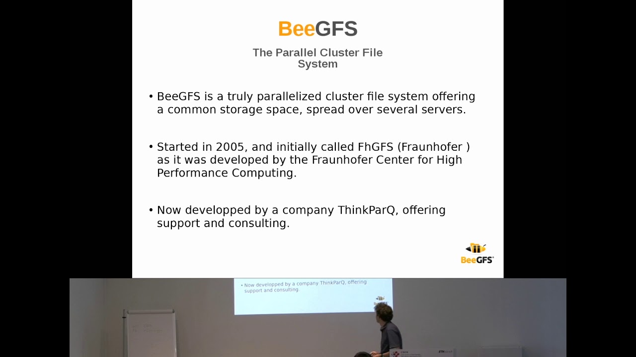 BeeGFS: the HPC Storage Solution Adopted at the Geneva Observatory