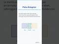 Pola Adapter (Adapter Pattern): Design Pattern untuk Antarmuka Tidak Kompatibel