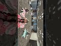 幕張ありがとう後日特典会開催中❤︎ #のんふぃく
