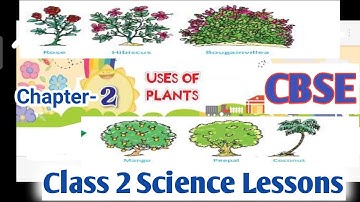 Uses of Plants🌳||Class-2 Science Lessons|| Chapter-2||Science videos||Science