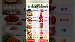 Foods &amp; The Organs They Support ❤️🧠 #healthtips #nutrition