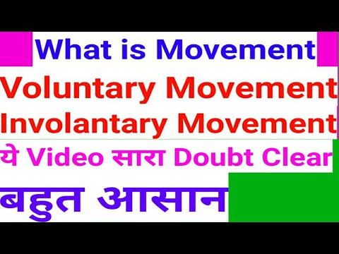 how many types of Movement in our body Voluntary Movement Involuntary Movement