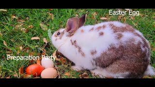 Easter Egg Preparation Party