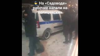 👮‍♂️ На «Садоводе» рабочие напали на полицейских.