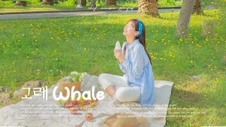 [Playlist] Summer Mood 🍀 Chill Music Playlist ~ Start your day positively with me