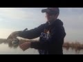 Кучурганский лиман 18.01.2014 / Fish Hazard Team /Твичинг/Окунь