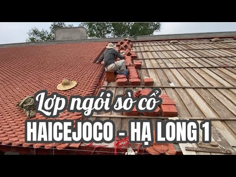 Mái Chùa 5 Gian Sử Dụng Ngói Mũi Sò Haicejoco Hạ Long 1 | Ngói Haicejoco - Hạ Long 1 Lợp đình Chùa