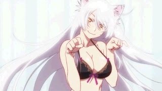 Get Anime Bakemonogatari Neko Hanekawa Kawaii By Anime Flv For iPhone Wallpaper Anime Bakemonogatari Neko Hanekawa Kawaii By Anime Flv Free