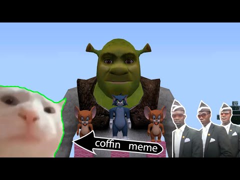 I FOUND A HUGE SHREK AND A TOM AND JERRY IN A MINECRAFT COFFIN MEME