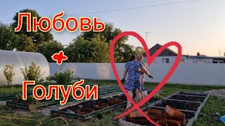 Влог 566 Муж помогает посадить огурцы/почему я беру предоплату/наша жизнь в российском посёлке