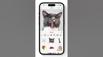 Seven Highlights From Apple