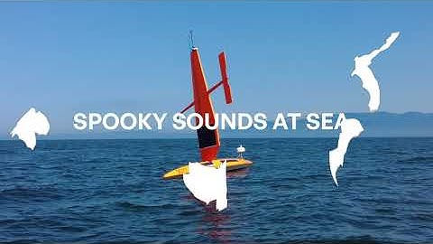 Saildrone 2023 Batcon Mission