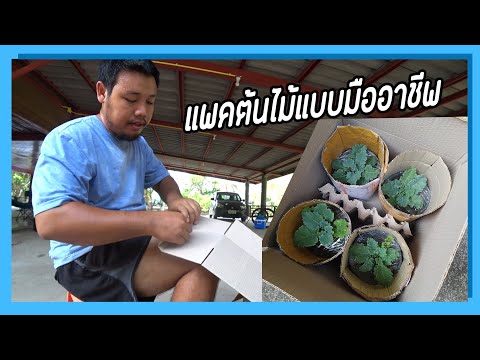 ผลสลากกินแบ่งรัฐบาล วันที่ 1 พย. 2567 ผลสลากกินแบ่งรัฐบาล วันที่ 1 พย. 2567
