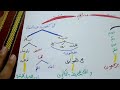 أسهل طريقة لحفظ سورة البقرة الآية 17 حتى 20 أسهل طريقة لحفظ سورة البقرة الآية 17 حتى 20