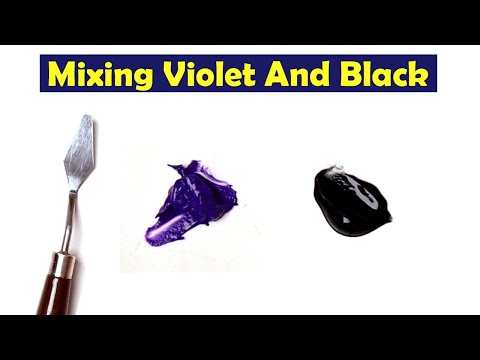 Video: Ce culoare face negrul și violetul?