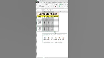 How to Create a Progress Tracker in Excel | Computer Skills Dashboard