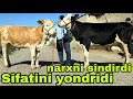 Azizbek va Boburjon ukamizdan yangi partiya sifati zo'r narxi yengillari keldi.11-iyun, 2026
