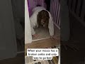 Funny way going bed #funny