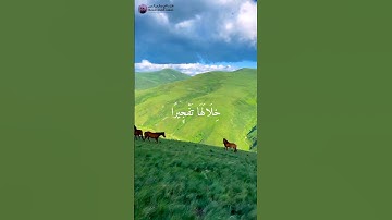 تلاوة خاشعة تريح القلب من الشيخ #عبدالرحمن_السديس