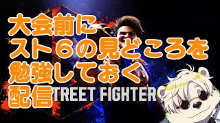 大会前にスト６を履修しておく配信【熊白デボア】#BFL #beastfighterleague