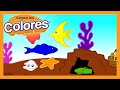Music and Language Quiz