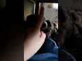 esse vídeo tem 1 segundo