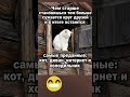 🐱🤣#шортс #юмор #смех #прикол #рекомендации #мем #фильм #смешновидео #смешнойшортс #фильм #новости