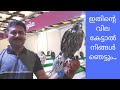 A Story of Falcon | പരുന്തിനെ നമുക്കിവിടെ നിന്നും മേടിക്കാം | Lijo Chirayil Vlog