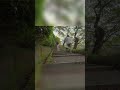 Kanazawa Castle: A Silent Journey Through History #shorts