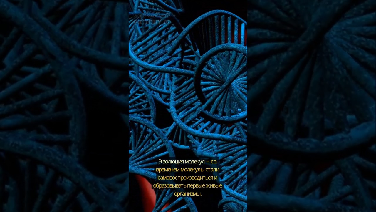 Как зародилась жизнь на Земле?