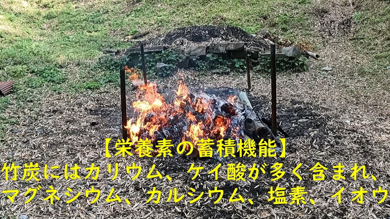 竹林奮闘記　＃54　放置竹林　管理整備　竹炭（消し炭）作り方【栄養素の蓄積機能】