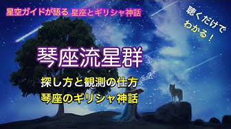 琴座 Youtube