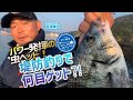 【釣り時季】パワー発揮の虫ヘッド！堤防釣りで何目ゲット⁈