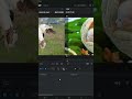 How to Change Track Size in DaVinci Resolve - Tamil