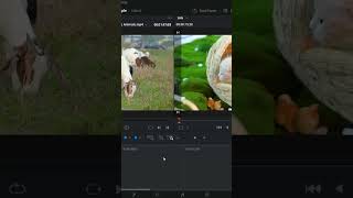 How to Change Track Size in DaVinci Resolve