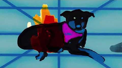 Walt Phelan - Chasing Shadows (Official Video)